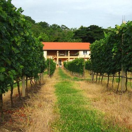 Granmonte Wine Cottage Phayayen Zewnętrze zdjęcie