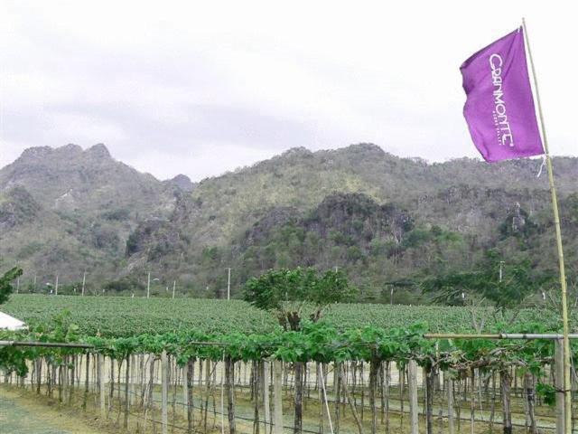 Granmonte Wine Cottage Phayayen Zewnętrze zdjęcie