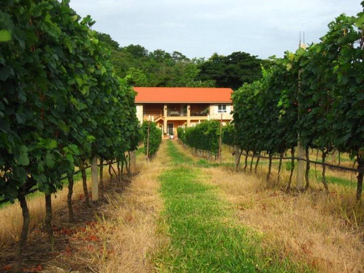 Granmonte Wine Cottage Phayayen Zewnętrze zdjęcie