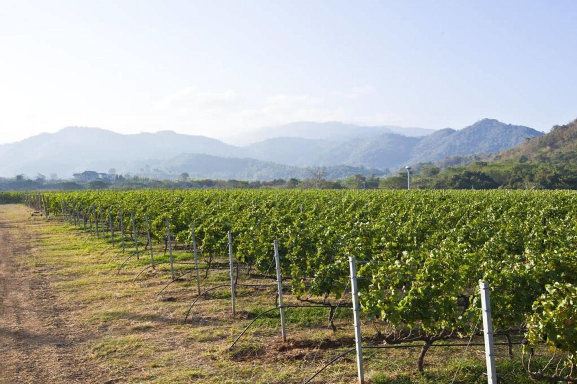 Granmonte Wine Cottage Phayayen Zewnętrze zdjęcie